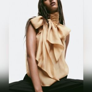 Sheer Tie-neck Blouse